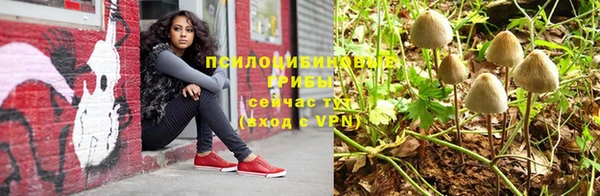 МДПВ Нефтегорск