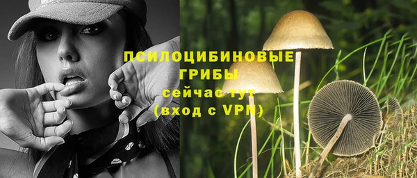МДПВ Нефтегорск