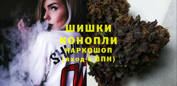 МДПВ Нефтегорск