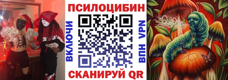 Галлюциногенные грибы прущие грибы  Зубцов 