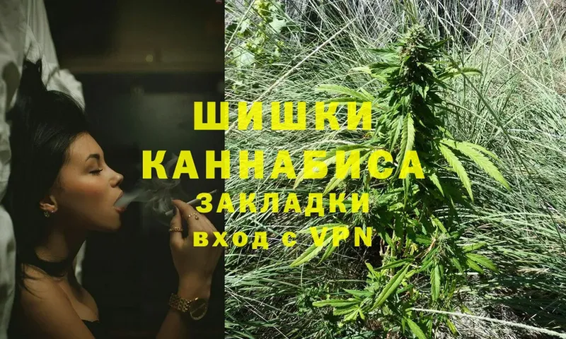 купить наркотик  Зубцов  Канабис OG Kush 